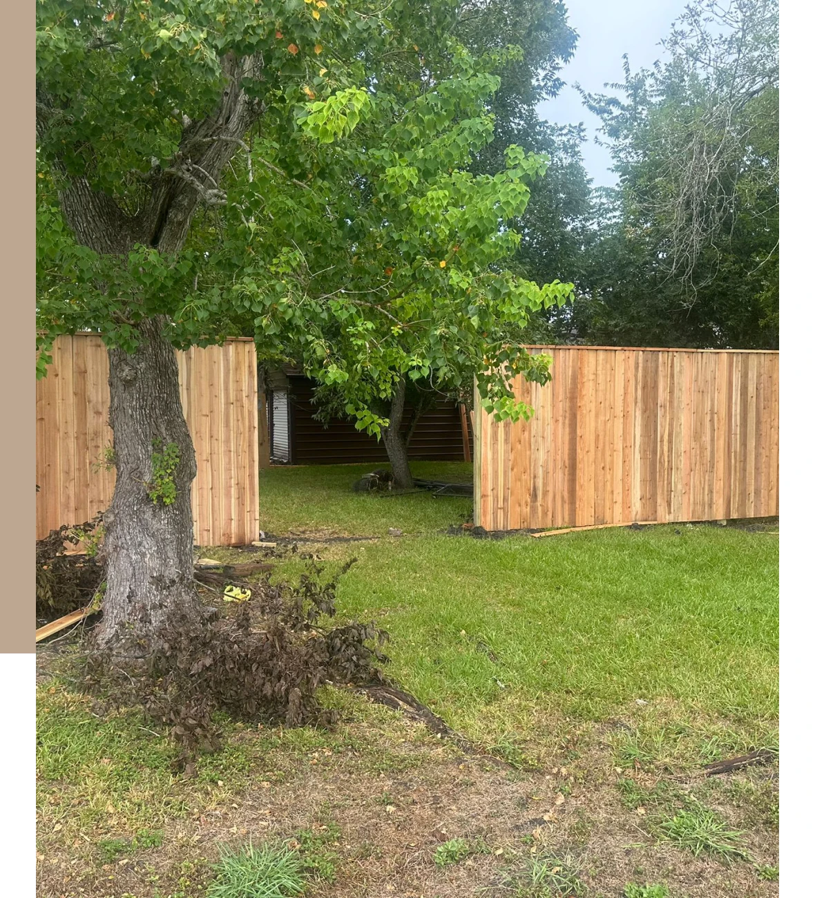Backyard with wooden fence and tree