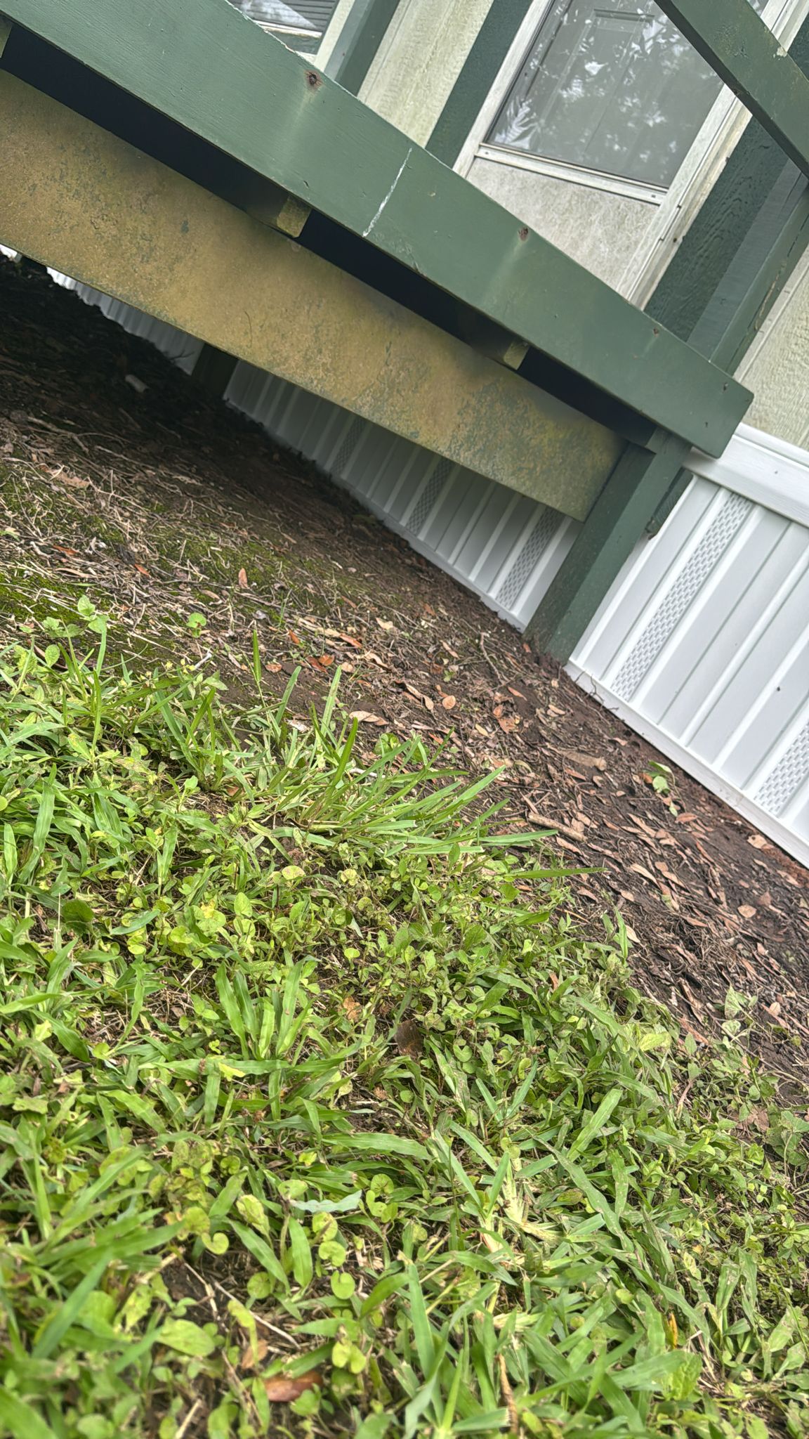 Close-up of grass and mulch near a building's foundation and siding.