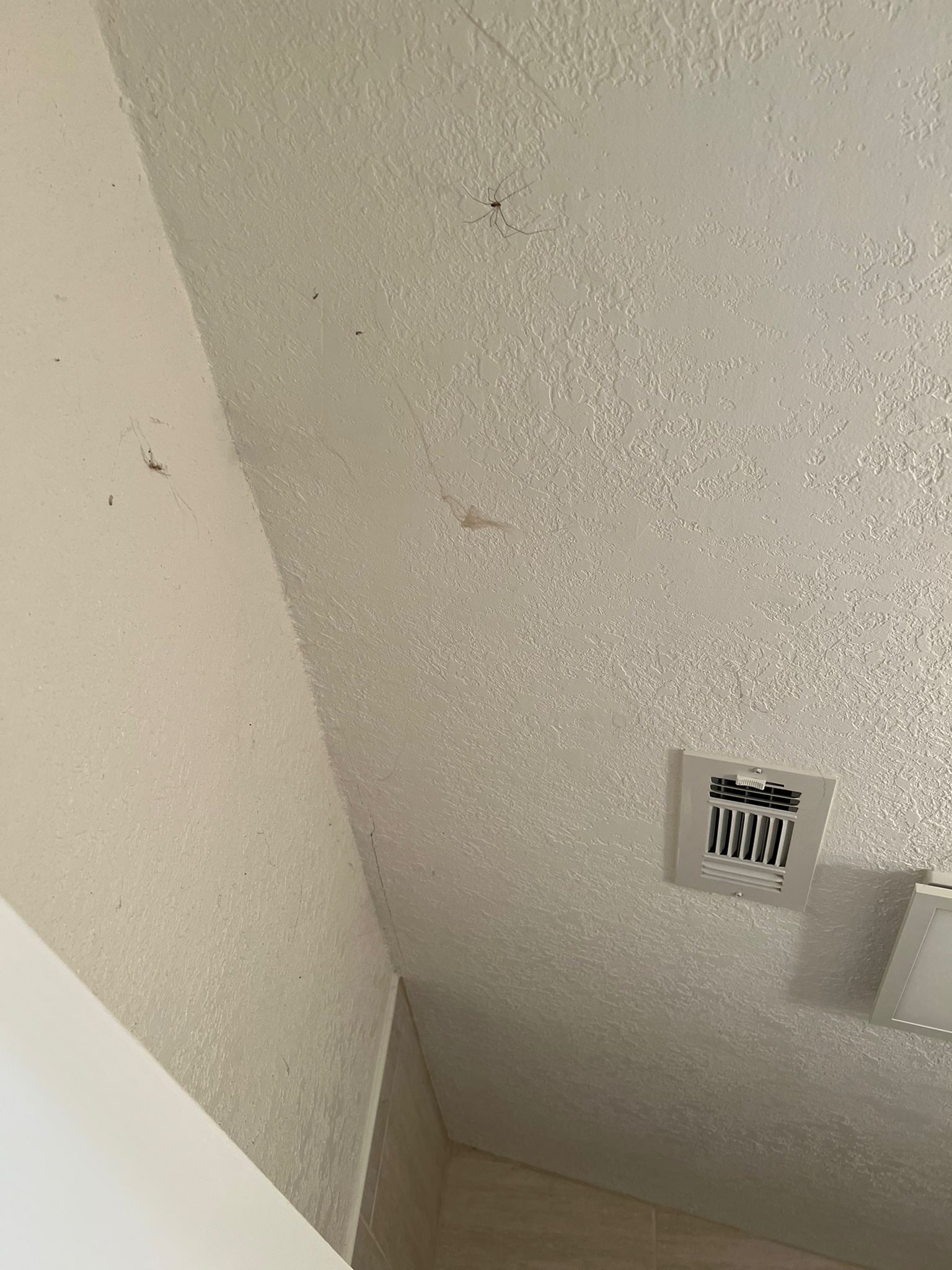 Ceiling corner with spider webs and a vent.