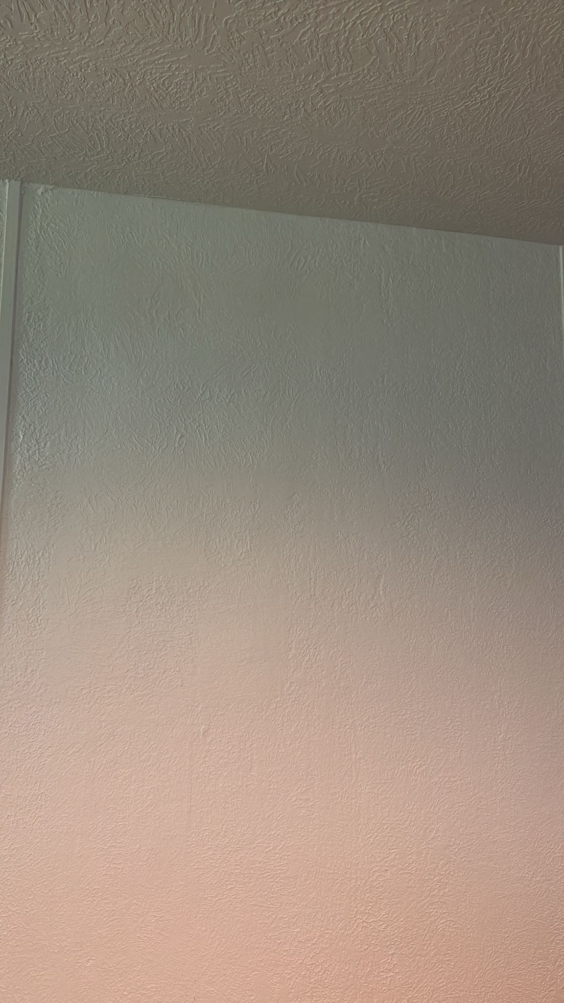 A plain beige wall with subtle texture and a vertical seam.