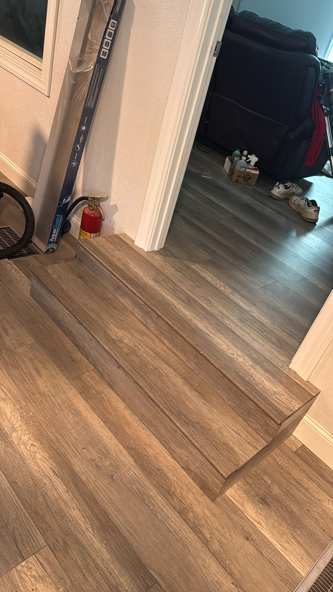 Wooden floor with a small dog resting in the background.