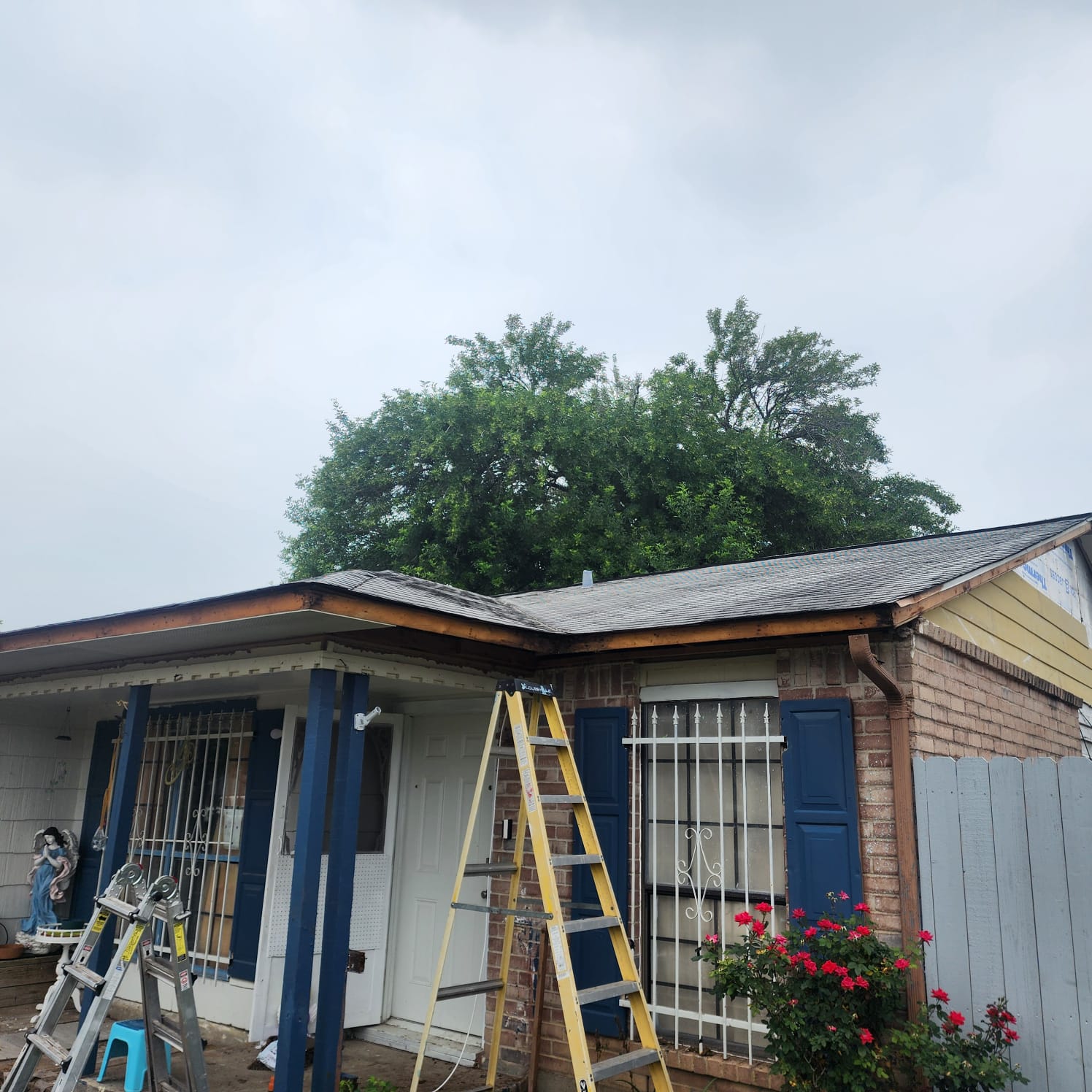 A ladder leaning against a house under a cloudy sky with trees in the background.