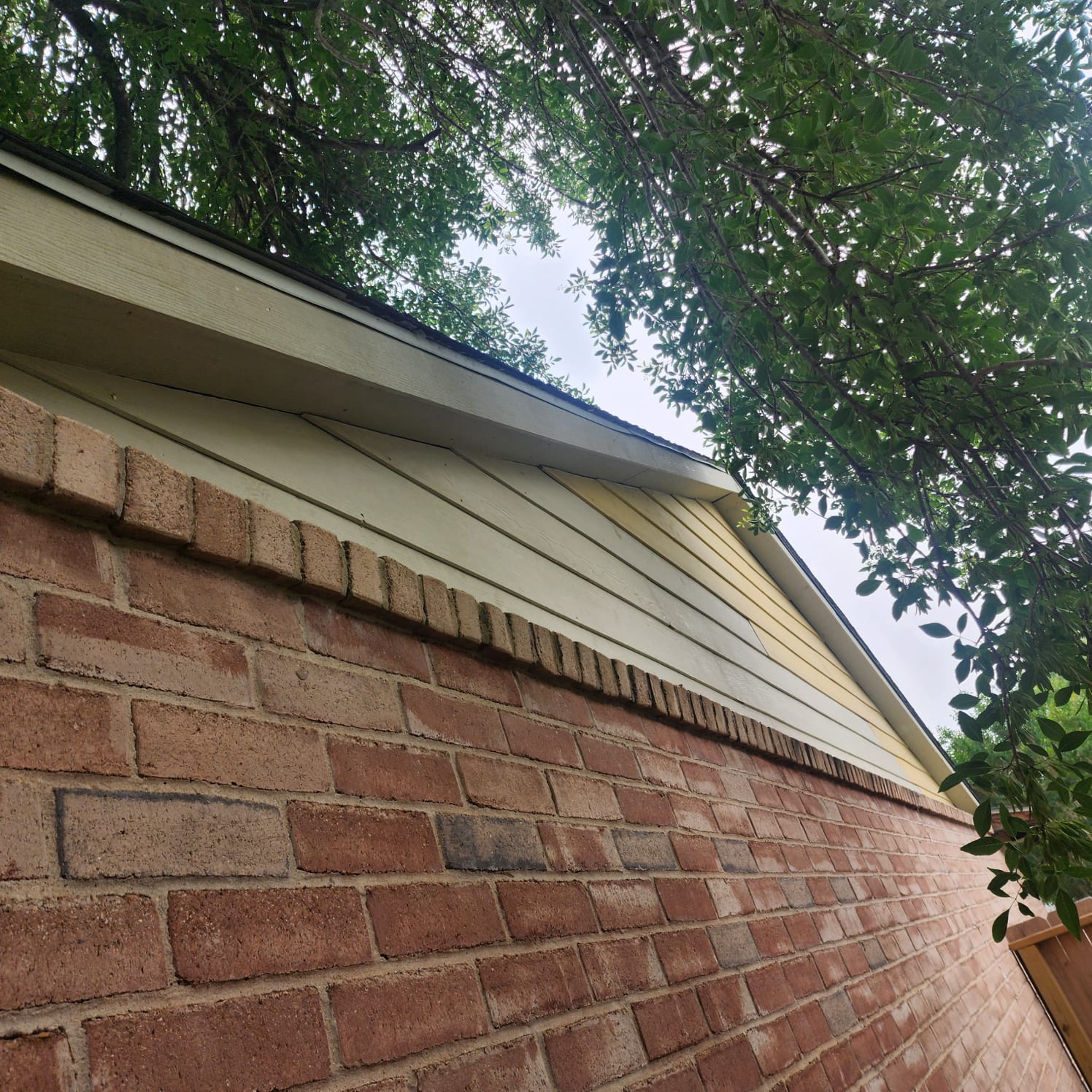 Close-up of a brick wall and roofline with trees above.