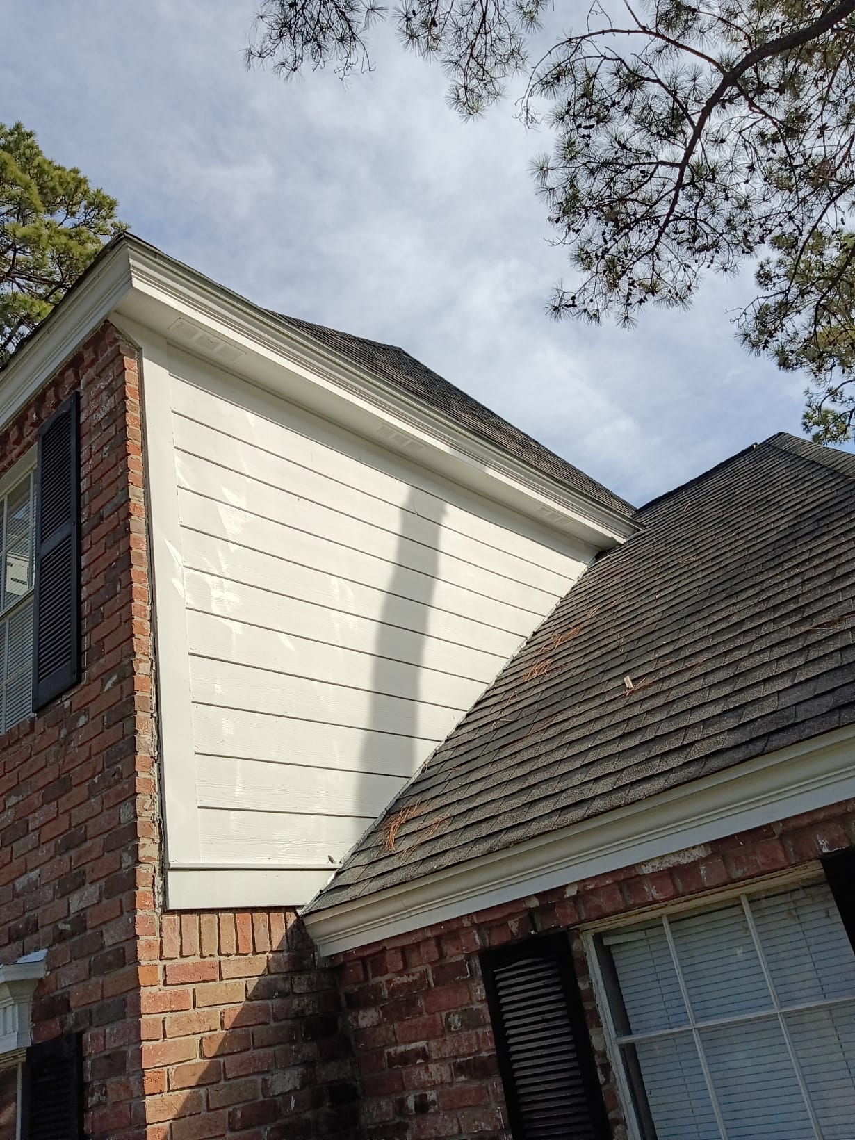 A close-up of a house roof and siding with trees in the background.